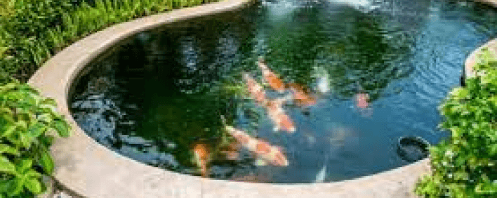 Fish Pond construction Fish Pond construction